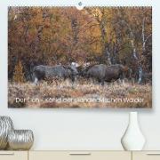 Der Elch - König der skandinavischen Wälder (Premium, hochwertiger DIN A2 Wandkalender 2023, Kunstdruck in Hochglanz)
