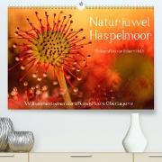 Naturjuwel Haspelmoor (Premium, hochwertiger DIN A2 Wandkalender 2023, Kunstdruck in Hochglanz)