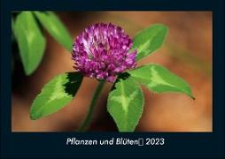 Pflanzen und Blüten 2023 Fotokalender DIN A4