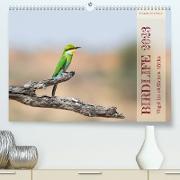 Birdlife - Vögel im südlichen Afrika (Premium, hochwertiger DIN A2 Wandkalender 2023, Kunstdruck in Hochglanz)