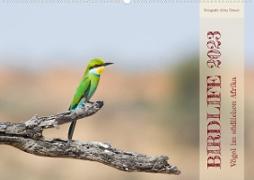 Birdlife - Vögel im südlichen Afrika (Wandkalender 2023 DIN A2 quer)