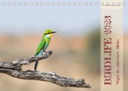 Birdlife - Vögel im südlichen Afrika (Tischkalender 2023 DIN A5 quer)