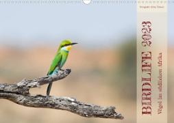 Birdlife - Vögel im südlichen Afrika (Wandkalender 2023 DIN A3 quer)