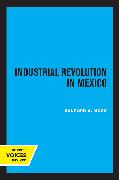 Industrial Revolution in Mexico