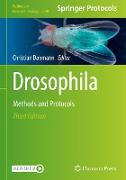 Drosophila