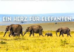 Ein Herz für Elefanten (Wandkalender 2023 DIN A2 quer)