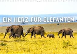 Ein Herz für Elefanten (Wandkalender 2023 DIN A3 quer)