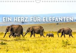 Ein Herz für Elefanten (Wandkalender 2023 DIN A4 quer)