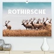 Rothirsche - Die imposanten Könige der Wälder. (Premium, hochwertiger DIN A2 Wandkalender 2023, Kunstdruck in Hochglanz)