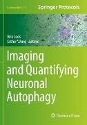 Imaging and Quantifying Neuronal Autophagy