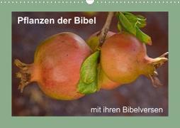 Pflanzen der Bibel (Wandkalender 2023 DIN A3 quer)