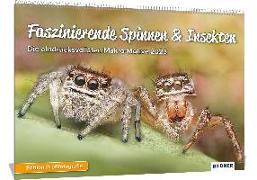 Spinnen Kalender 2023, Faszinierende Spinnen & Insekten, Eindrucksvolle Makro-Motive 2023