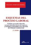 Esquemas del proceso laboral : trámites procesales laborales, acciones laborales dentro del concurso, y normativa concordada con la doctrina del Tribunal Constitucional