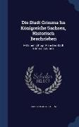 Die Stadt Grimma Im Königreiche Sachsen, Historisch Beschrieben: Mit Einem Lithogr. Plane Der Stadt Grimma, Volume 2