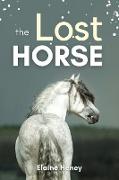 The Lost Horse - Book 6 in the Connemara Horse Adventure Series for Kids