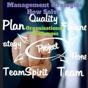 Management strategies How Solve Organizational Challanges
