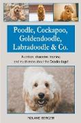 Poodle, Cockapoo, Goldendoodle, Labradoodle & Co