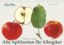 Alte Apfelsorten für Allergiker (Wandkalender 2023 DIN A4 quer)