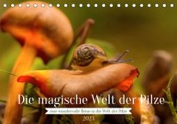Die magische Welt der Pilze (Tischkalender 2023 DIN A5 quer)