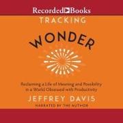 Tracking Wonder: Reclaiming a Life of Meaning and Possibility in a World Obsessed with Productivity