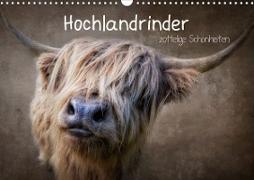 Hochlandrinder - Zottelige Schönheiten (Wandkalender 2023 DIN A3 quer)