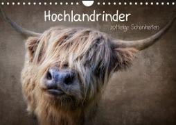 Hochlandrinder - Zottelige Schönheiten (Wandkalender 2023 DIN A4 quer)