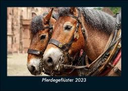 Pferdegeflüster 2023 Fotokalender DIN A5