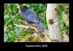 Vogelparadies 2023 Fotokalender DIN A3