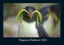 Pinguine & Eisbären 2023 Fotokalender DIN A4