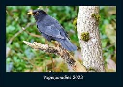 Vogelparadies 2023 Fotokalender DIN A4