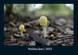 Waldzauber 2023 Fotokalender DIN A4