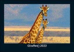 Giraffen 2023 Fotokalender DIN A5