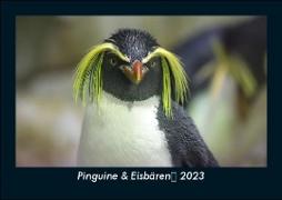 Pinguine & Eisbären 2023 Fotokalender DIN A5