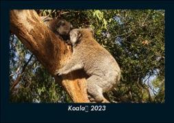 Koala 2023 Fotokalender DIN A5