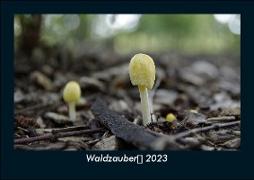 Waldzauber 2023 Fotokalender DIN A5