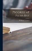 Progress at Pelvis Bay