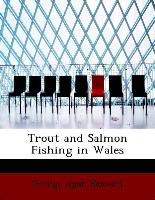 Trout and Salmon Fishing in Wales