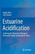 Estuarine Acidification