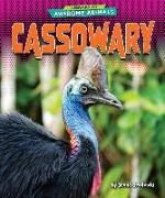 Cassowary