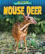 Mouse Deer