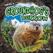Inside a Groundhog's Burrow