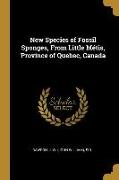 New Species of Fossil Sponges, from Little Métis, Province of Quebec, Canada