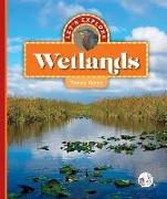 Let's Explore Wetlands