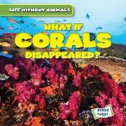 What If Corals Disappeared?