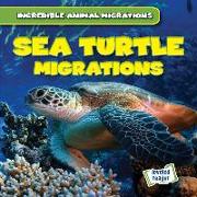 Sea Turtle Migrations