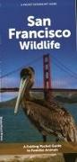 San Francisco Wildlife
