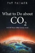 What to Do About Co2