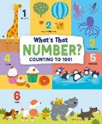 What's That Number? Counting To 100!