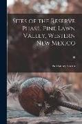 Sites of the Reserve Phase, Pine Lawn Valley, Western New Mexico, 38