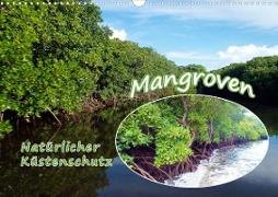 Mangroven - Natürlicher Küstenschutz (Wandkalender 2023 DIN A3 quer)